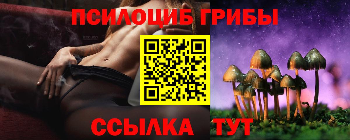 как найти   Галлюциногенные грибы мухоморы  Вход с VPN  Псилоцибиновые грибы Cubensis  Надым 
